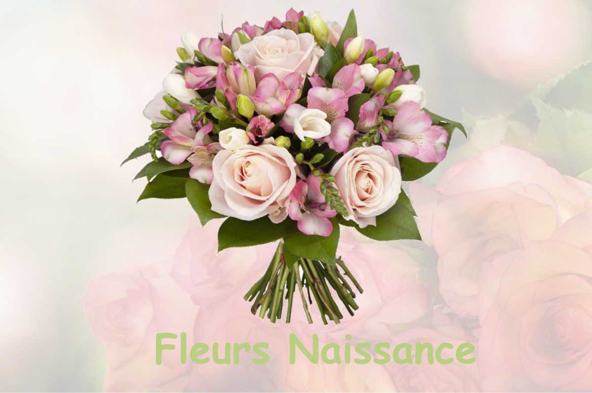 fleurs naissance CIZAY-LA-MADELEINE
